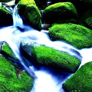 女人19水真多毛片学生
